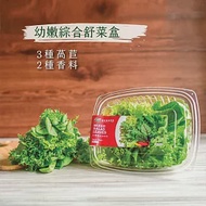 【源鮮智慧農場】幼嫩綜合舒菜盒(生菜、沙拉、萵苣、水耕蔬菜)