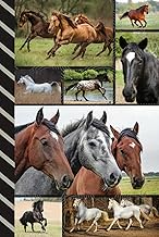 Address and Password Book Combo: Hardcover / Large Print / Discreet / Log Home - Email Addresses - P