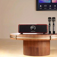 Home KTV and Entertainment System