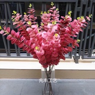 Apple branches and leaves with many colors