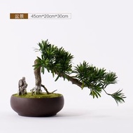 室內仿真植物盆栽 羅漢松迎客松客廳落地綠植中式盆景擺件