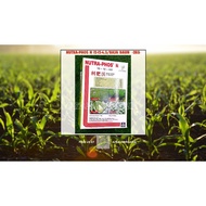 NUTRA-PHOS N 12-12-4.5 /BAJA DAUN - 2KG