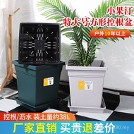 Gallon Qingshan Small Fruit Square Factory Direct Sales Flower Root Control Pot Ting Genuine Flower 