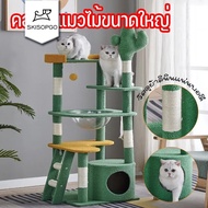 SKISOPGO Wooden Cat Condo 5 in 1 House Can Height 55~155cm Big Toy