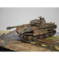 German Panther G Tank 1/35 Tiger model kit RMF Army