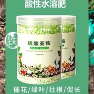 fertilizer acid-loving plant water-soluble fertilizer large barrel packaging gardenia jasmine iron t