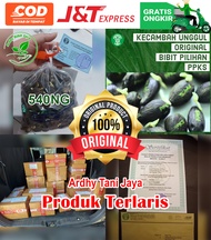 PPKS DxP 540NG UNGGUL DAPAT SERTIFIKAT