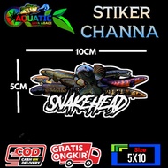 Channa Snakehead Sticker