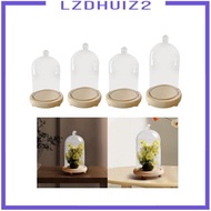 [Lzdhuiz2] Cloche Display Bell Jar Display Case Portable Versatile Tabletop