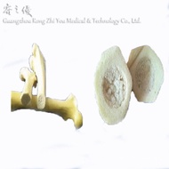 Training Manufacturer Direct Sales PU Medical Leather Processing Foam Femur dog model Bone Exercise 