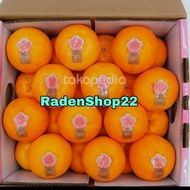 Jeruk mandarin japan sakura 1 kg