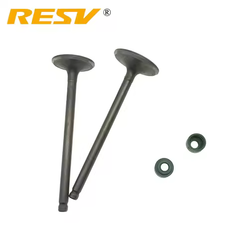 RESV for Suzuki GN125 GZ125 GS125 DR125 QJ125 HJ125 GN GZ GS DR QJ HJ 125cc 125 CC Valve Intake Exha