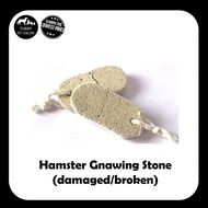 Hamster Gnawing Stone #damaged #broken