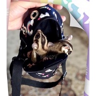 Bonding Pouch Bullet Pouch Pet Carrier Sleeping Bag Sugar Glider Small Pets