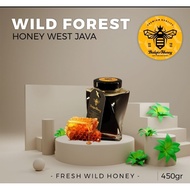 Raw Honey West Java Madu Tualang Asli