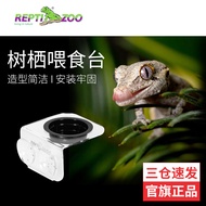 New Style Pet Reptizoo Reptizoo Reptile Water Basin Food Basin Eyelashes Daily Travel Gecko Feeding 