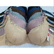 Bra (bh) Elena 24485 (foam wire size 36C-42C)