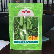 (20g) Benih Timun Mini Bellavy F1 Panah Merah +-80biji