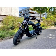 Brand New Rooder Electric Ebike For Adult