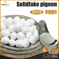 5pcs Pigeon False Eggs Solid Fake Egg Dove Dummy Eggs Hatching Eggs Trick The Birds