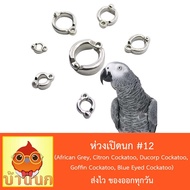 Woww สุดคุ้ม ห่วงเปิดนก #12 ห่วงขานก แหวนนก (African Grey, Citron Cockatoo, Ducorp Cockatoo, Goffin 