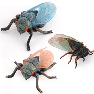 Children Simulation Insect Animal Model Toy Crawling Cicada Knows  Model Creative Ornaments WQTK