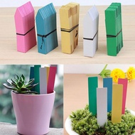 Label tag plant / orchids tag label