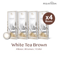 PEGAVISION คอนแทคเลนส์สี รายวัน รุ่น Kaori (set 4 กล่อง/40 เลนส์)