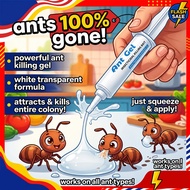 Natural ant bait CI Ant killer Racun semut Ant poison Ant bait Semut racun Ant killer bait Ubat semu