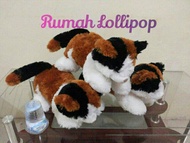 boneka kucing lucu