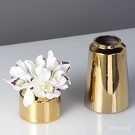 Light Luxury Creative Ceramic Decorative Vase Gold Simple Living Room Flower Arrangement Vase WholesaleinsHome Art Ornam