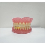 Elderly Whole Mouth Dentures Whole Mouth Teeth Elderly Oral Model Dentures Dentures Elderly