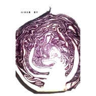 88 Options (Fifth Edition) 11100655193 Taaaze Reading Book Life Online Bookstore