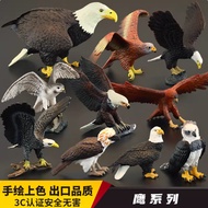 [Childlike] Solid Children Simulation Animal Toy Model Eagle Golden Eagle You Falcon Snake Eagle Whi