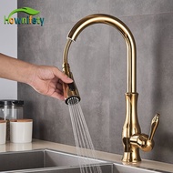 Golden Kitchen Faucets Pull Out Mixer Sink Tap 360 Rotation Single Handle Water 2-way Sprayer Mixer