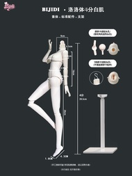 ร่างกาย BJD 4 ชิ้น ร่างกายเปล่า ร่างกายผู้ชาย ร่างกายผู้หญิง ร่างกาย Lolo ร่างกาย MJD ร่างกาย SJD ร่