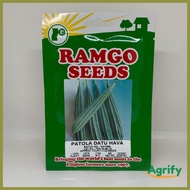 ◊☜ ❧ ◫ Patola Seeds Datu Hava 32 Seeds ramgo binhi