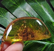 緬甸天然原礦藍珀玻璃底雨花意境半月形吊墜(繩束)
56.2×27.5×18.8mm 18.2g
HK＄690❌345
量質通透，吊墜内部含有豐富的植
物包裹體（意境珀），俱觀賞價值與特殊性。
    