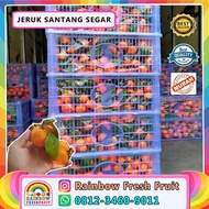 TERLARIS JERUK SANTANG 1 KERANJANG MADU MANIS BERKUALITAS