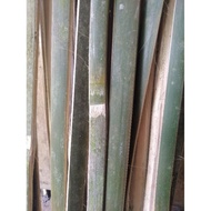 New BAMBOO BAMBOO BAMBOO PLANT SUPPORT 100CM LENGTH 2CM WIDTH