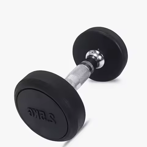 Custom Wholesale Black Round Head Dumbbells 2.5-15Kg Gym Training Bag Rubber Dumbbells