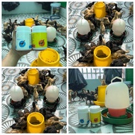 Uu Viet New Chicks 120G Raises Chicks to Grow Faster