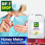 Anti Bacterial Hand Sanitizer Spray with 75% Alcohol - Honey Melon Anti Bacterial Hand Sanitizer Spray - 5L