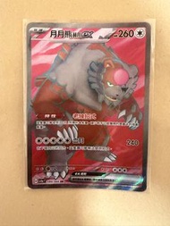 月月熊赫月ex 鐵荊棘ex SR card