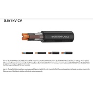 room_shop101 BCC สายไฟ kV CV 3x2.5 ตร.มม. 100 m. สีดำ