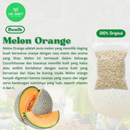 ( 3 Butir ) Benih Biji Melon Orange | Cantaloupe | Rock Melon
