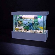 Aquarium small fish guppy/cupang/neon tetra NIJI NO AOI SORA (MITRA) V1