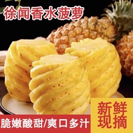 Nanas Xuwen Besar Segar Minyak Wangi Buah Nanas Buah Nanas Buah Besar Borong Bukan Hainan Cincang Na