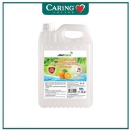 NETCARE ALCOHOL SANITIZING LIQUID 5L