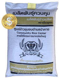 เมล็ดพันธุ์ข้าว ตราเขี้ยวงูทอง น่าน59 เบอร์18 พันธุ์ข้าวเหนียวหอม กข6 เตี้ย ( น่าน59#18 )